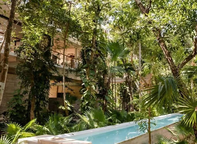 Apartamento Tortuga Azul Private Terrace Rooftop Pool W Bbq Access 11 Pools Free Club